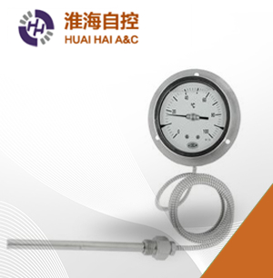 WTZ/WTQϵ��ѹ��ʽ�¶ȼ�